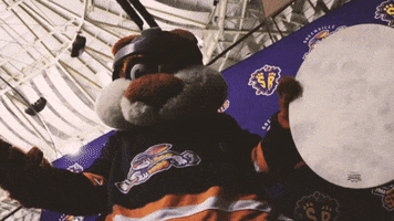GIF by Greenville Swamp Rabbits