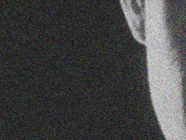 SPOILER owl rachel spoiler GIF