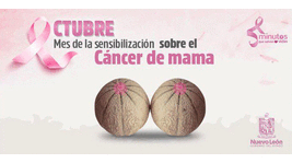 kikafrisone cancer mujer feminismo bronco GIF