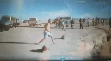sergiobalensia  GIF