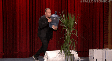 kevin james lol GIF by The Tonight Show Starring Jimmy Fallon