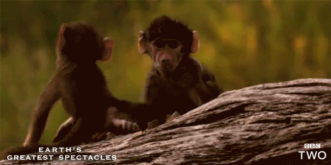 c Gif Find Share On Giphy