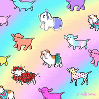 Dog Day Love GIF by Stefanie Shank