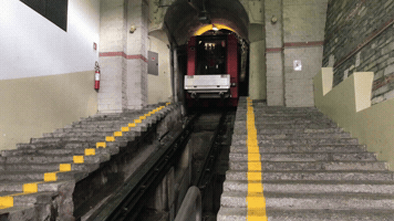 Donovandon  GIF