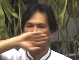 innanefedovskaya  GIF