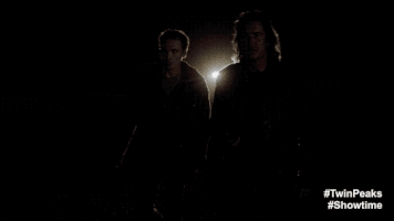 Twin Peaks GIF by Twin Peaks on Showtime