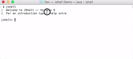 DM8tyProgrammer java jshell GIF
