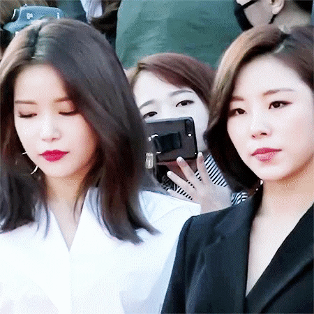 alexseo  GIF