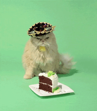 Happy Birthday Cat GIFs | GIFDB.com