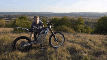 adammercier  GIF