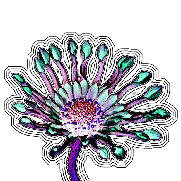 beautiful in bloom Sticker by weinventyou