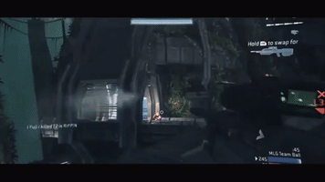 donu7  GIF