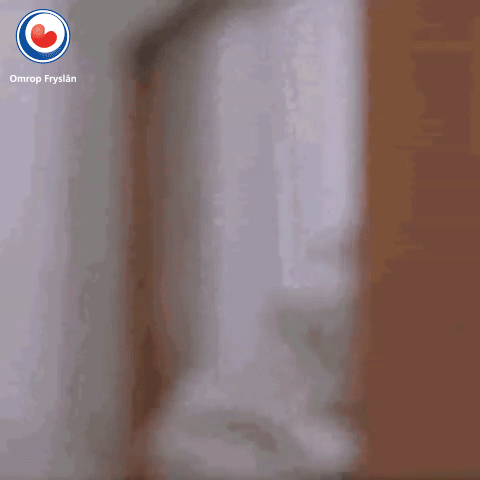 Top Enjoy GIF by Omrop Fryslân