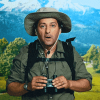 Confused Mountain GIF by Lidl Voyages