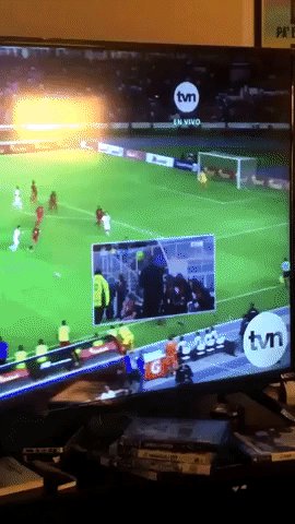 ezlam99gmailcom  GIF