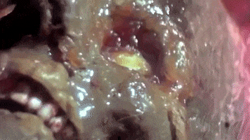 The Texas Chainsaw Massacre Horror GIF