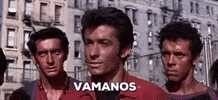 Movie gif. Standing in front of his gang, an intimidating George Chakiris as Bernardo in West Side Story turns his head to the side and says, “Vamanos.”