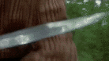 friday the 13th blood GIF