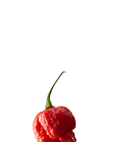 Grace Foods UK Sticker