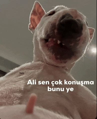 Osmangif GIF