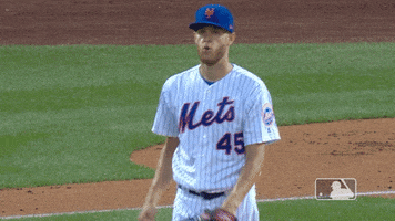 New York Mets Fist Pump GIF by MLB