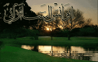 marwan  GIF