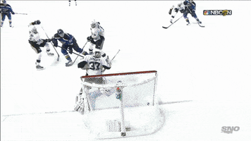 romanbentonfawns hockey nhl st. louis blues vladimir tarasenko GIF