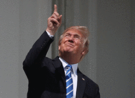trump donald trump deal with it eclipse solar eclipse GIF