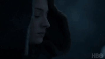 meg666 #sansa #winter #winterfall #gameofthrones GIF