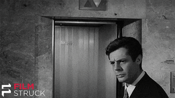 200.gif?cid=fc005b081f90319ac9ec523e55175ae708820511fa51056f&rid=200.gif&ct=g