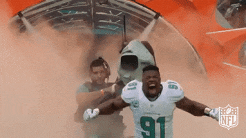 Excited Miami Dolphins GIF by NFL