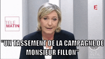 marine le pen election GIF by franceinfo