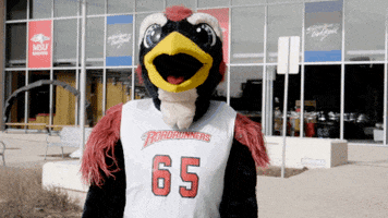 university mascot bird GIF