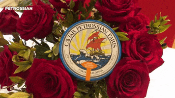 i love you wow GIF by Petrossian