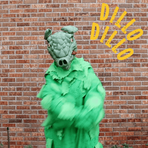 Dillodillo GIF