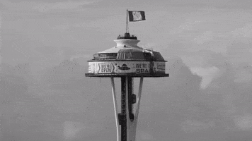 space needle seattle GIF by Pearl Jam