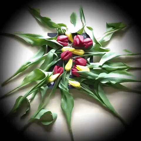 Bouquet Ceskygrimm GIF