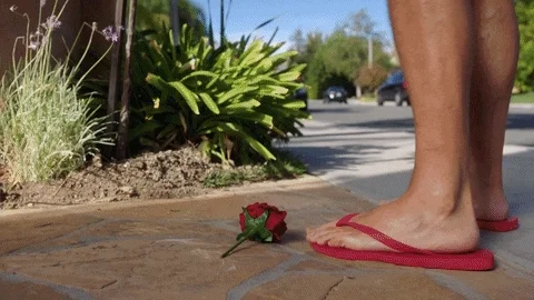 4th of july party GIF by Lucifer