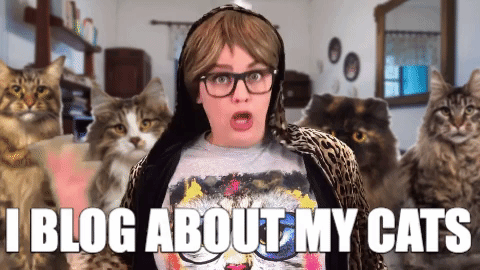 blogging cat lady GIF