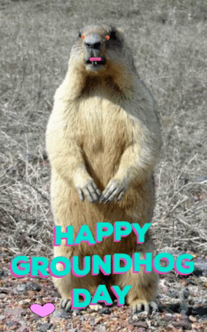 Groundhog Day Gif By Justin Find Share On Giphy