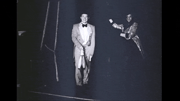 Circus Oops GIF by The James Hunter Six