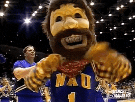 Ncaa Basketball Sport GIF by NCAA March Madness
