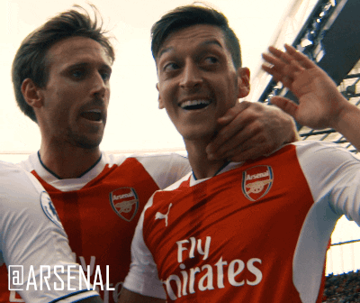 Arsenal-fc GIFs - Get the best GIF on GIPHY