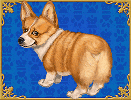commerce lucky corgi slots simon's GIF