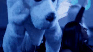 Music Video GIF by Big Grams