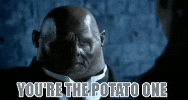 jackgebhart dr who youre the potato one GIF