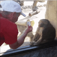 make  GIF