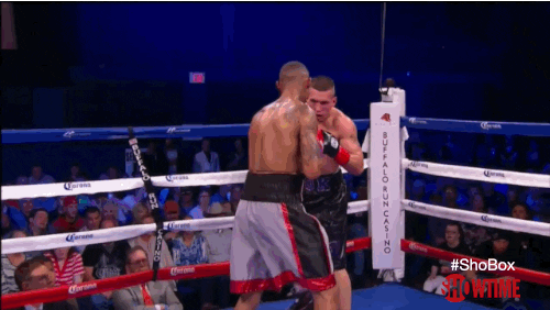 Boxing Knockout GIF by SHOWTIME Sports - Find & Share on GIPHY