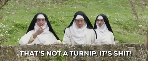 alison brie no GIF by The Little Hours Movie