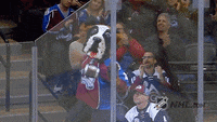 Go-avs-go GIFs - Get the best GIF on GIPHY
